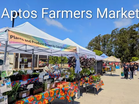 Other - 101 Darlington Ln, Soquel, CA 95073 photo 5 of 7