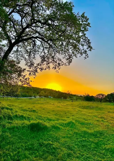 159 Albright Ct, Angels Camp, CA 95222