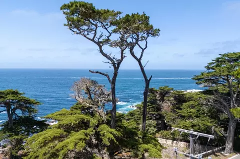 3245 17 Mile Dr, Pebble Beach, CA 93953