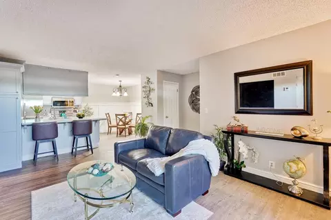259 Capitol Ave 163, San Jose, CA 95127