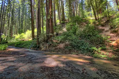 154 Leafwood Dr, Boulder Creek, CA 95006