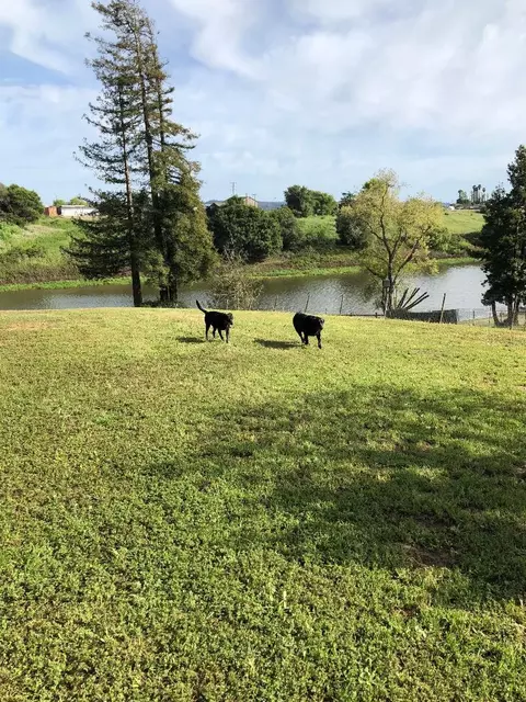 136 Cutter Dr, Watsonville, CA 95076