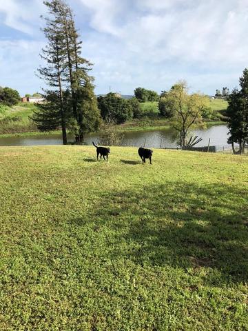 136 Cutter Dr, Watsonville, CA 95076