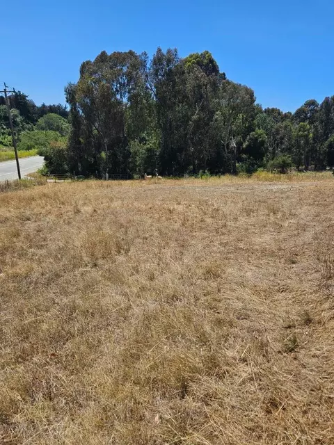 Other - 603 Carpenteria Rd, Aromas, CA 95004 photo 3 of 5