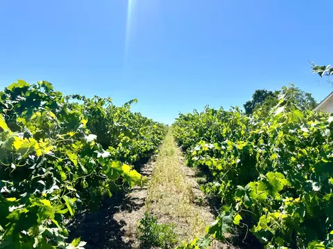 Other - 19025 N Devries Rd, Lodi, CA 95242 photo 4 of 15