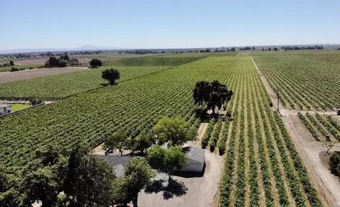 Other - 19025 N Devries Rd, Lodi, CA 95242 photo 14 of 15
