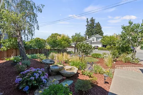 713 Alice Ave, Mountain View, CA 94041 photo 3
