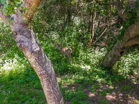 Other - 925 Old Farm Ln, Aptos, CA 95003 photo 11 of 11