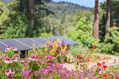 Other - 2030 Sparrow Valley Rd, Aptos, CA 95003 photo 11 of 14