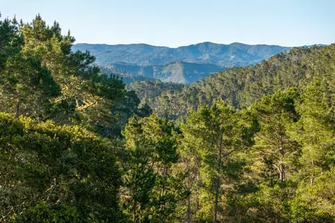 7925 Cinquenta, Carmel, CA 93923 photo 13