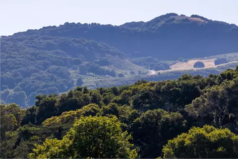 15 Potrero Trl, Carmel, CA 93923 photo 8