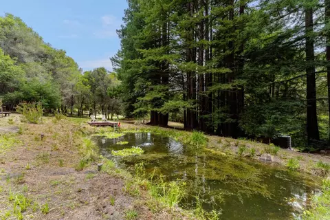 Other - 900 Larsen Rd, Aptos, CA 95003 photo 13 of 14