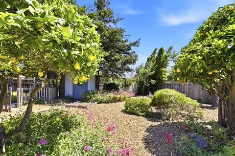 Exterior - 119 San Juan Dr, Salinas, CA 93901 photo 9 of 15