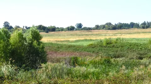 Holland Tract Rd, Knightsen, CA 94548