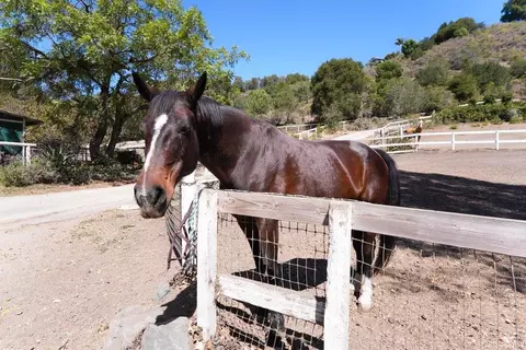Other - 505 Alfadel Ln, Soquel, CA 95073 photo 19 of 25