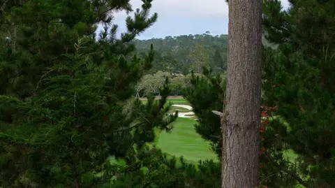 3167 Stevenson Dr, Pebble Beach, CA 93953 photo 7