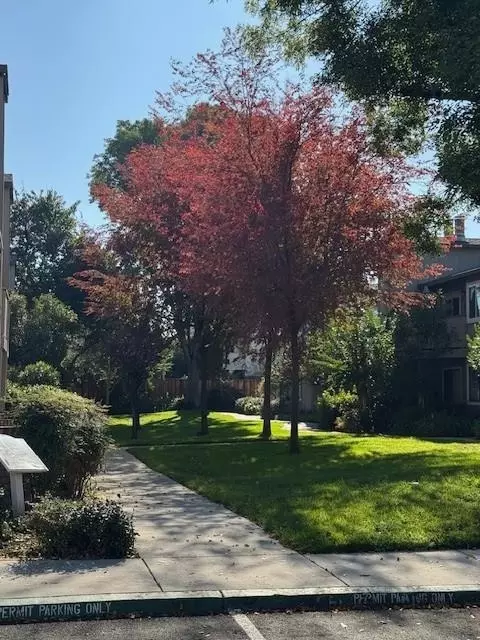 3449 Wine Cask Way, San Jose, CA 95124