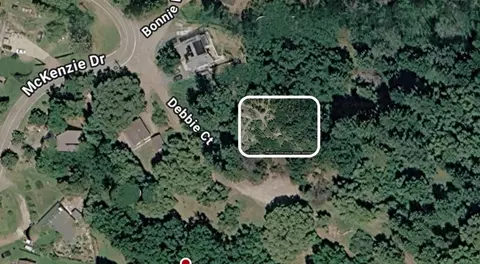 27891 Debbie Ct, Pioneer, CA 95666