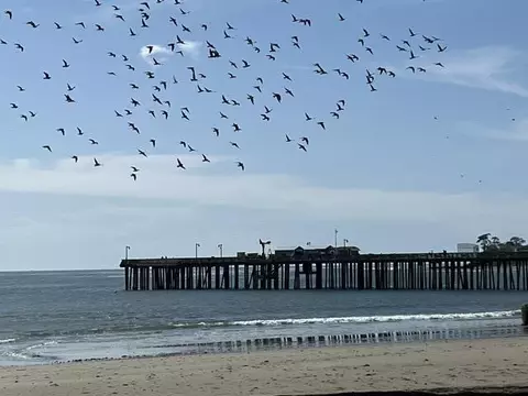 Undisclosed, Capitola, CA 95010 photo 39