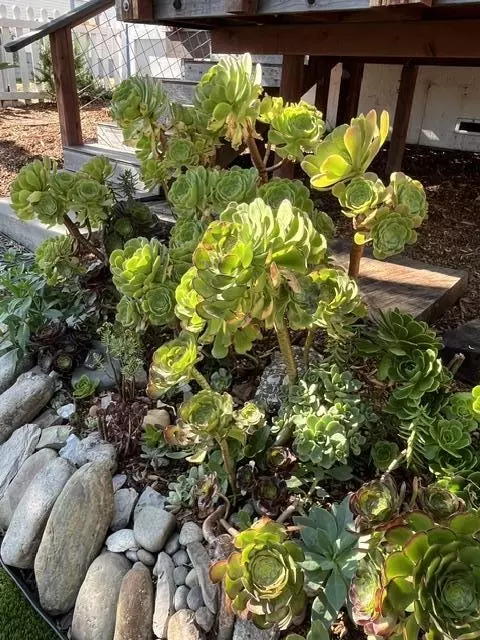 Undisclosed, Capitola, CA 95010 photo 26