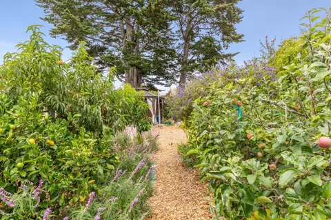 Exterior - 1976 Luzern St, Seaside, CA 93955 photo 11 of 12