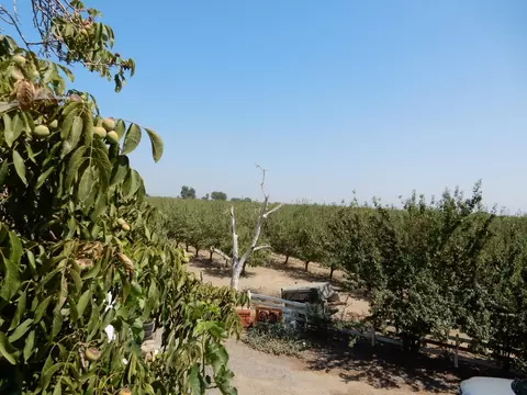 7861 Whitworth Rd, Gustine, CA 95322 photo 2
