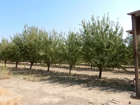 7861 Whitworth Rd, Gustine, CA 95322 photo 9