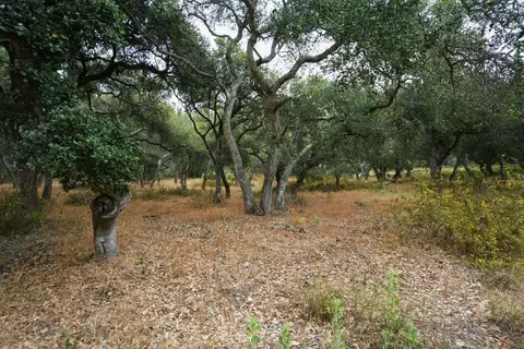 0 Valle Pacifico Rd, Salinas, CA 93907 photo 25