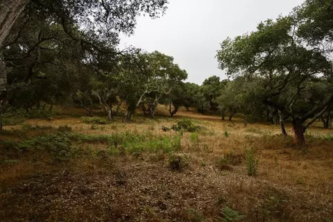 0 Valle Pacifico Rd, Salinas, CA 93907 photo 14