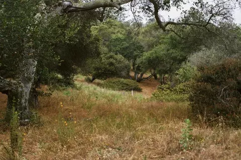 0 Valle Pacifico Rd, Salinas, CA 93907 photo 10