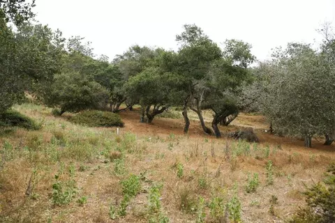 0 Valle Pacifico Rd, Salinas, CA 93907 photo 11
