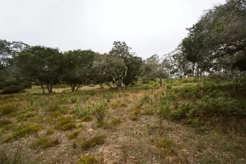0 Valle Pacifico Rd, Salinas, CA 93907 photo 16