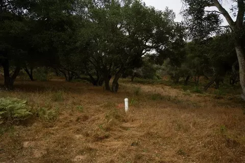 0 Valle Pacifico Rd, Salinas, CA 93907 photo 15