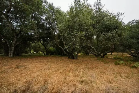 0 Valle Pacifico Rd, Salinas, CA 93907 photo 32