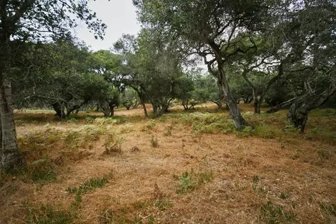 0 Valle Pacifico Rd, Salinas, CA 93907 photo 33