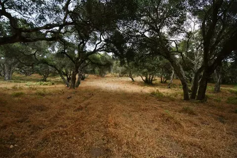 0 Valle Pacifico Rd, Salinas, CA 93907 photo 35