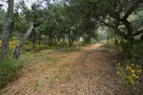 0 Valle Pacifico Rd, Salinas, CA 93907 photo 24