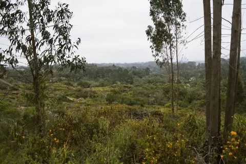 0 Valle Pacifico Rd, Salinas, CA 93907 photo 18