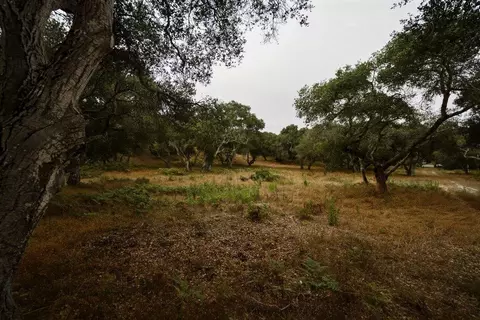 0 Valle Pacifico Rd, Salinas, CA 93907 photo 13