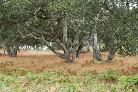 0 Valle Pacifico Rd, Salinas, CA 93907 photo 4