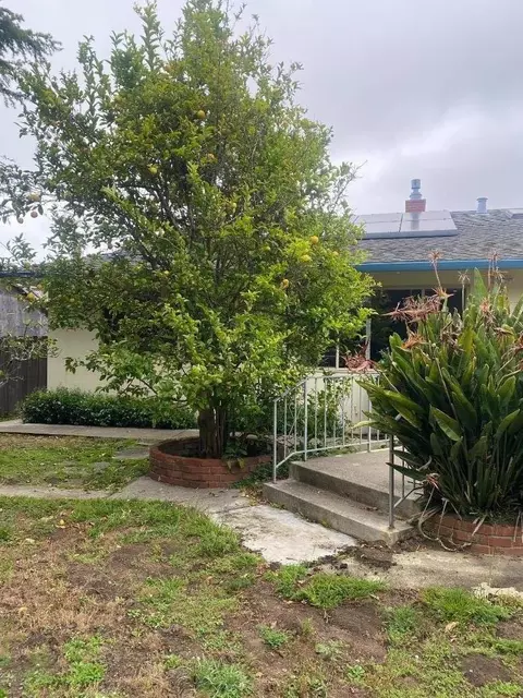 Dell Rd, Pacifica, CA 94044 photo 40