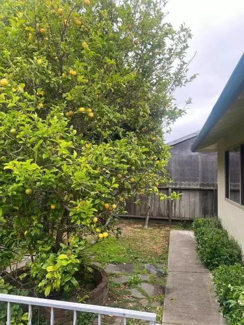 Dell Rd, Pacifica, CA 94044 photo 37