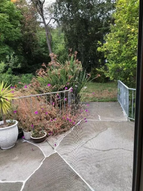 Dell Rd, Pacifica, CA 94044 photo 33