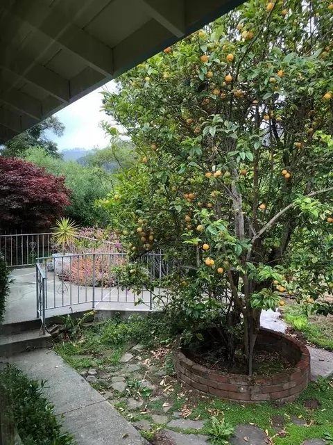 Dell Rd, Pacifica, CA 94044 photo 36