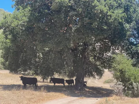 0 E Carmel Valley Rd, Greenfield, CA 93927 photo 6
