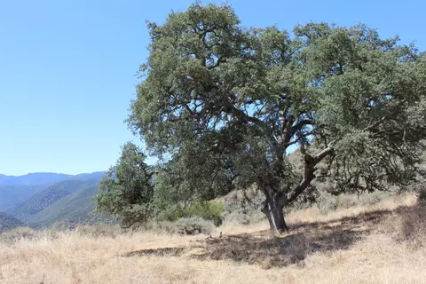 0 E Carmel Valley Rd, Greenfield, CA 93927 photo 10