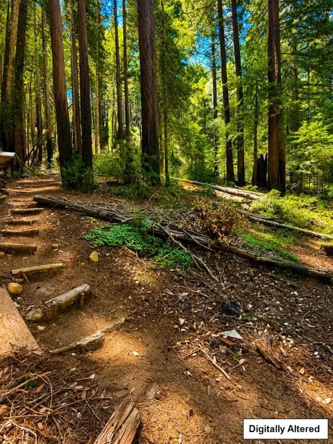 11837 Clear Creek Rd, Brookdale, CA 95007