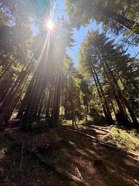 11837 Clear Creek Rd, Brookdale, CA 95007