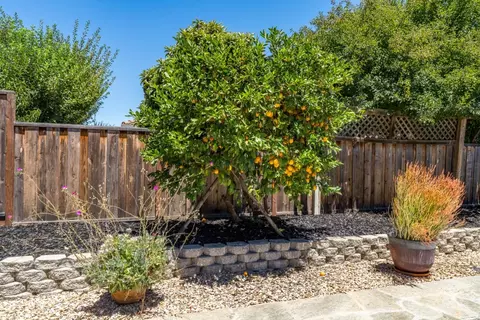 Exterior - 339 Churchill Pl, Gilroy, CA 95020 photo 11 of 15