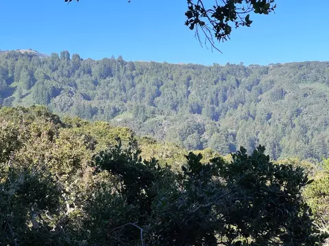 2 Corral Run, Carmel, CA 93923 photo 14